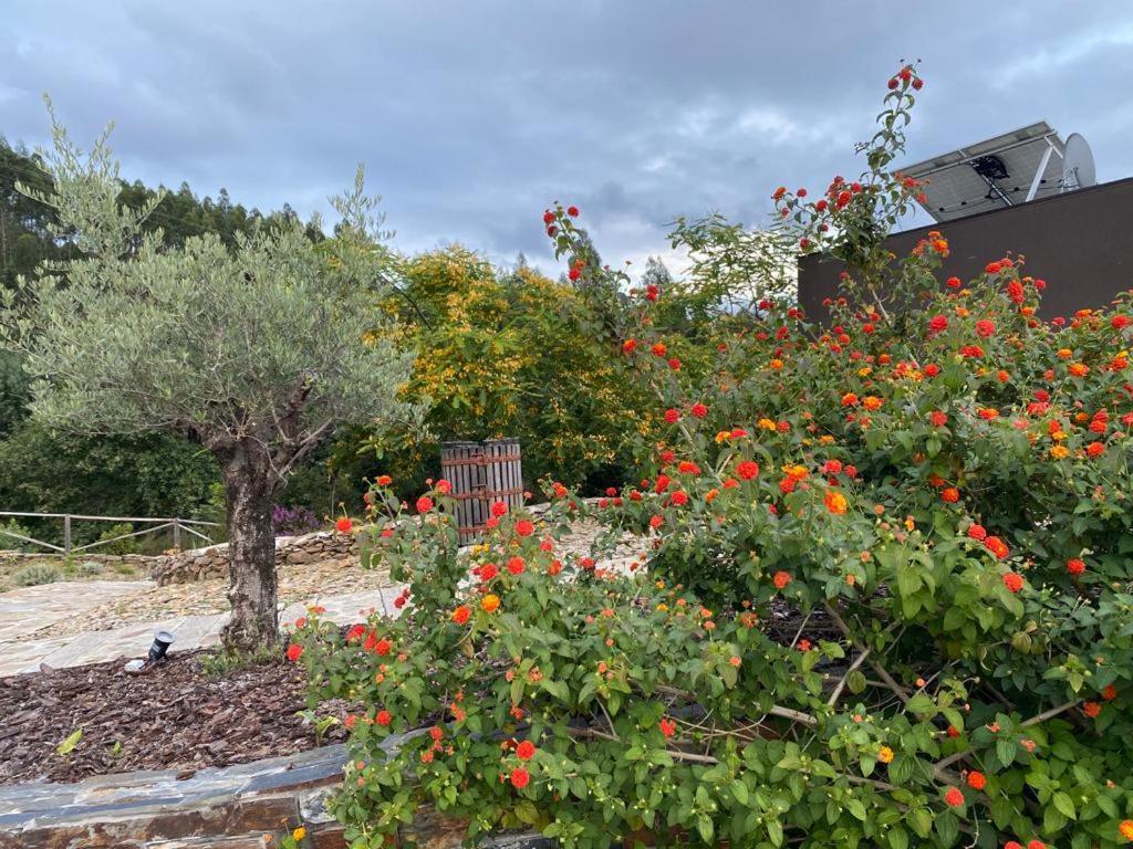 Medronho D'ouro Holiday home *
